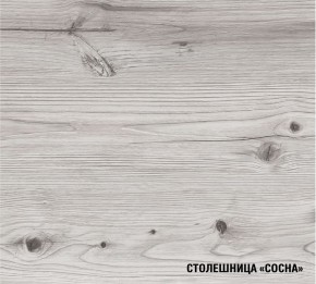 АСАЯ Кухонный гарнитур Экстра 2 (3000 мм) ПМ в Троицке - troick.ok-mebel.com | фото 8