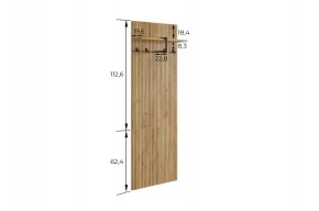 БОДРУМ Прихожая (модульная) дуб крафт золотой в Троицке - troick.ok-mebel.com | фото 2