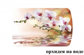 БОСТОН опоры Брифинг в Троицке - troick.ok-mebel.com | фото 21