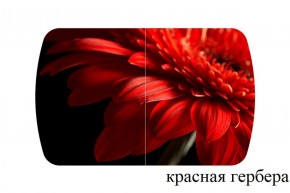 БОСТОН опоры Триумф в Троицке - troick.ok-mebel.com | фото 27