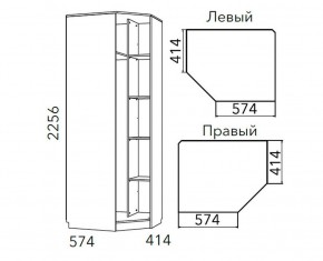 Детская Фанк Шкаф угловой Левый/Правый НМ 013.04-02 М в Троицке - troick.ok-mebel.com | фото 3