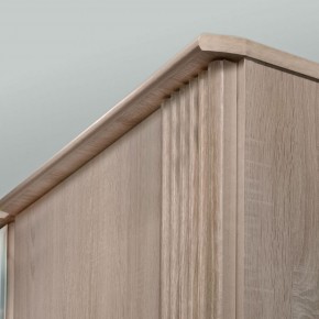 ДИАНА Д12 Шкаф для одежды в Троицке - troick.ok-mebel.com | фото 2