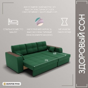 Диван Сенатор-3 (ППУ) в Троицке - troick.ok-mebel.com | фото 5