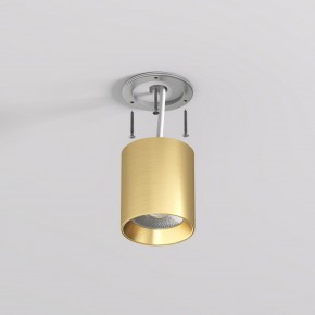 DK2610-SB Накладной светильник SHINE TUBE со светодиодом, D70*H80, IP20, 3000К, 10W, RA?90, сатинированная латунь, алюминий в Троицке - troick.ok-mebel.com | фото 3