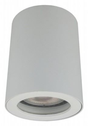 DK3007-WH Накладной светильник влагозащ., IP 44, 15 Вт, GU10, белый, алюминий в Троицке - troick.ok-mebel.com | фото 2