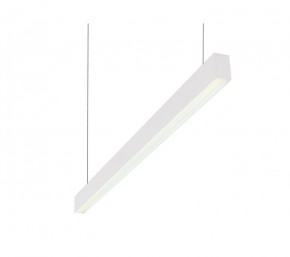 DK9124-WH Линейный светильник 30W 1250mm 4000K, белый в Троицке - troick.ok-mebel.com | фото