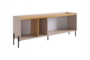 ДОМИНИКА Тумба 2 в Троицке - troick.ok-mebel.com | фото 4