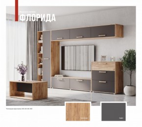 ФЛОРИДА Гостиная (модульная) дуб золотой/графит в Троицке - troick.ok-mebel.com | фото