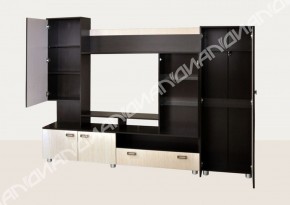 Гостиная Аллегро вариант-3 (Венге/Белфорт) в Троицке - troick.ok-mebel.com | фото 2