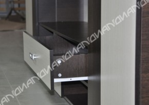 Гостиная Аллегро вариант-3 (Венге/Белфорт) в Троицке - troick.ok-mebel.com | фото 4