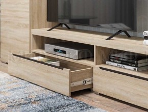 ЭКОЛЬ Гостиная Вариант №3 МДФ (Дуб сонома) в Троицке - troick.ok-mebel.com | фото 2