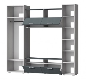 Гостиная Эмми (Анкор светлый/Графит) в Троицке - troick.ok-mebel.com | фото 3
