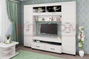 Гостиная Камелия Композиция 10 (Снежный ясень) в Троицке - troick.ok-mebel.com | фото