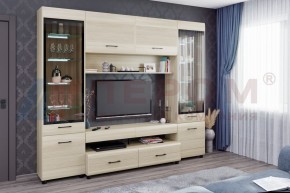 Гостиная Камелия Композиция 11 (Ясень Асахи) в Троицке - troick.ok-mebel.com | фото