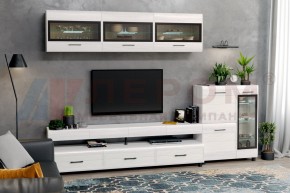Гостиная Камелия Композиция 12 (Снежный ясень) в Троицке - troick.ok-mebel.com | фото