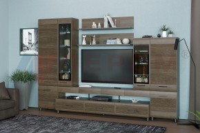Гостиная Камелия Композиция 3 (Гикори Джексон темный) в Троицке - troick.ok-mebel.com | фото