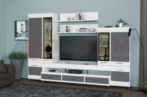 Гостиная Камелия Композиция 3 (Снежный ясень - серый) в Троицке - troick.ok-mebel.com | фото
