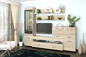 Гостиная Камелия Композиция 5 (Ясень Асахи) в Троицке - troick.ok-mebel.com | фото