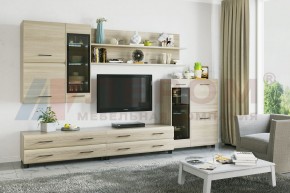 Гостиная Камелия Композиция 6 (Ясень Асахи) в Троицке - troick.ok-mebel.com | фото