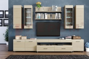 Гостиная Камелия Композиция 9 (Ясень Асахи) в Троицке - troick.ok-mebel.com | фото