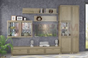 Гостиная Карина Композиция 1 (Гикори Джексон светлый) в Троицке - troick.ok-mebel.com | фото