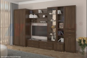 Гостиная Карина Композиция 11 (Акация Молдау) в Троицке - troick.ok-mebel.com | фото