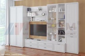 Гостиная Карина Композиция 11 (Снежный ясень) в Троицке - troick.ok-mebel.com | фото