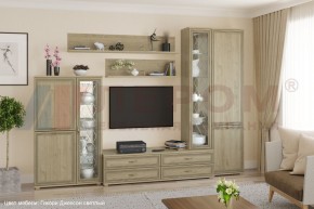 Гостиная Карина Композиция 12 (Гикори Джексон светлый) в Троицке - troick.ok-mebel.com | фото