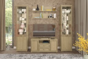 Гостиная Карина Композиция 13 (Гикори Джексон светлый) в Троицке - troick.ok-mebel.com | фото