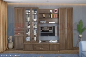 Гостиная Карина Композиция 14 (Акация Молдау) в Троицке - troick.ok-mebel.com | фото