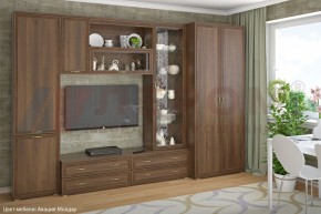 Гостиная Карина Композиция 16 (Акация Молдау) в Троицке - troick.ok-mebel.com | фото
