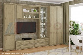 Гостиная Карина Композиция 16 (Гикори Джексон светлый) в Троицке - troick.ok-mebel.com | фото