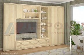 Гостиная Карина Композиция 16 (Ясень Асахи) в Троицке - troick.ok-mebel.com | фото