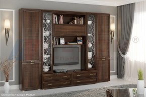 Гостиная Карина Композиция 19 (Акация Молдау) в Троицке - troick.ok-mebel.com | фото 5