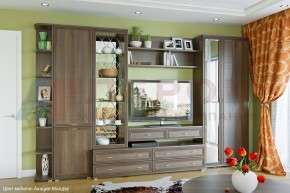 Гостиная Карина Композиция 20 (Акация Молдау) в Троицке - troick.ok-mebel.com | фото