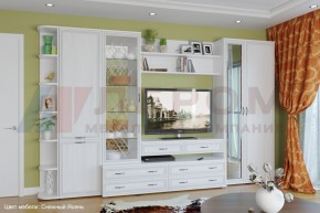 Гостиная Карина Композиция 20 (Снежный ясень) в Троицке - troick.ok-mebel.com | фото