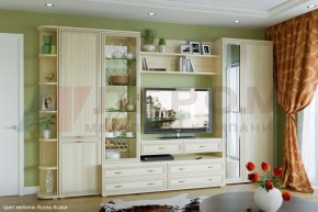 Гостиная Карина Композиция 20 (Ясень Асахи) в Троицке - troick.ok-mebel.com | фото