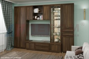 Гостиная Карина Композиция 21 (Акация Молдау) в Троицке - troick.ok-mebel.com | фото