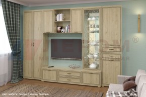 Гостиная Карина Композиция 21 (Гикори Джексон светлый) в Троицке - troick.ok-mebel.com | фото 6