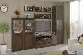 Гостиная Карина Композиция 22 (Акация Молдау) в Троицке - troick.ok-mebel.com | фото