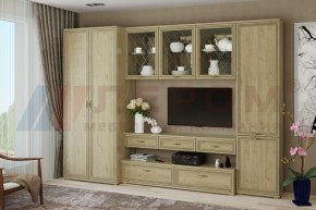 Гостиная Карина Композиция 23 (Гикори Джексон светлый) в Троицке - troick.ok-mebel.com | фото