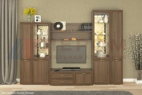 Гостиная Карина Композиция 24 (Акация Молдау) в Троицке - troick.ok-mebel.com | фото