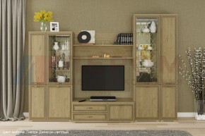 Гостиная Карина Композиция 24 (Гикори Джексон светлый) в Троицке - troick.ok-mebel.com | фото