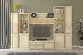 Гостиная Карина Композиция 24 (Ясень Асахи) в Троицке - troick.ok-mebel.com | фото