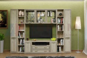 Гостиная Карина Композиция 25 (Гикори Джексон светлый) в Троицке - troick.ok-mebel.com | фото