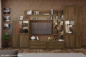 Гостиная Карина Композиция 5 (Акация Молдау) в Троицке - troick.ok-mebel.com | фото