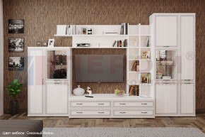 Гостиная Карина Композиция 5 (Снежный ясень) в Троицке - troick.ok-mebel.com | фото