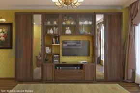 Гостиная Карина Композиция 6 (Акация Молдау) в Троицке - troick.ok-mebel.com | фото