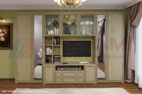 Гостиная Карина Композиция 6 (Гикори Джексон светлый) в Троицке - troick.ok-mebel.com | фото