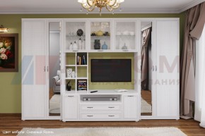 Гостиная Карина Композиция 6 (Снежный ясень) в Троицке - troick.ok-mebel.com | фото